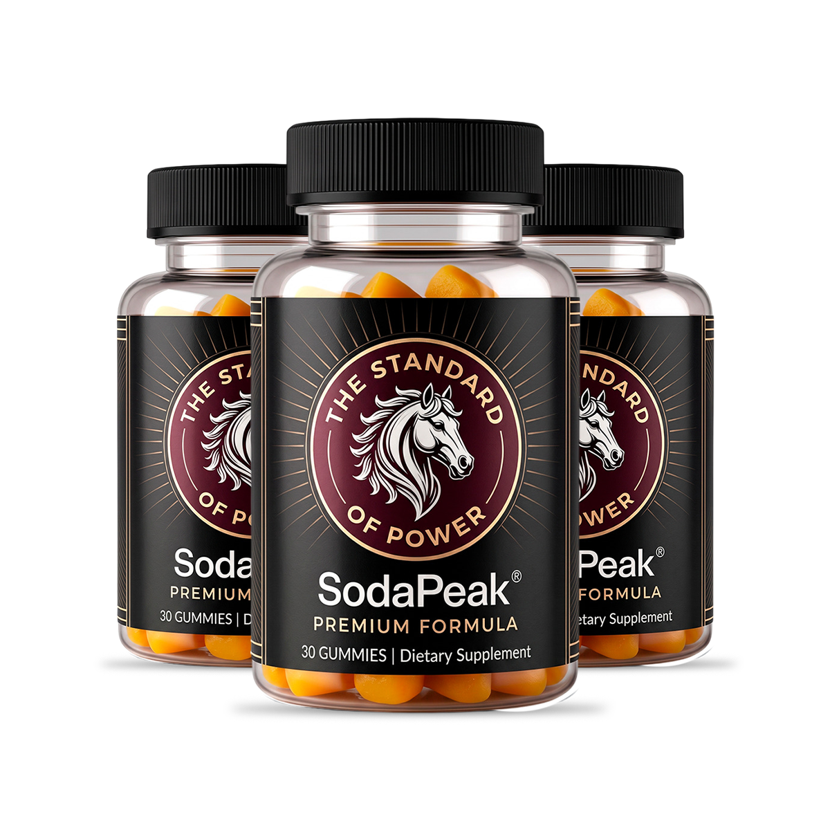 SodaPeak 3 bottle kit